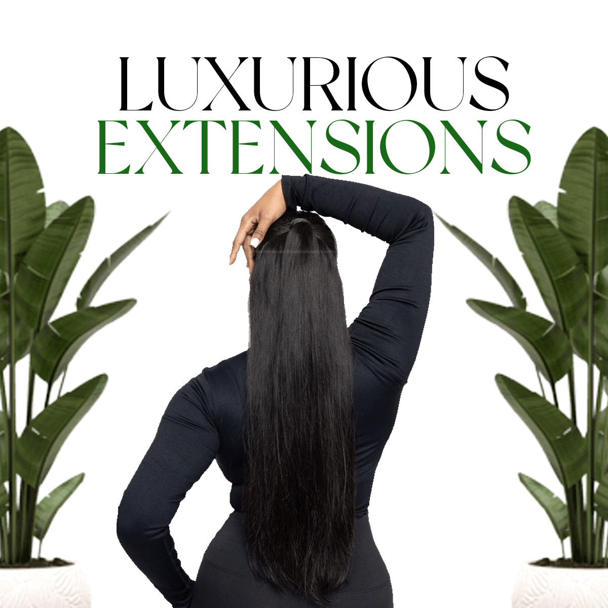 Luxurious Extensions