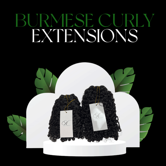 Luxury Burmese Curly